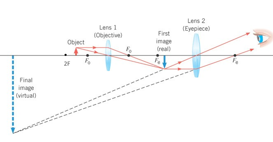 <ul><li><p>object</p></li><li><p>I<sub>o(bjectief)</sub> ; gevormd door objectieflens (projector) met kleine brandpuntafstand (hoe kleiner, hoe beter)</p></li><li><p>I<sub>e(yepiece) </sub>; gevormd door oculairlens (vergrootglas)</p></li></ul><p></p>