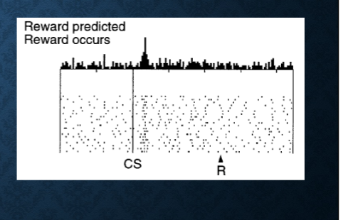 <p>conditioning: cue A (light) > juice</p><p> </p><p>blocking: new cue (Y) added . AY > juice, AX > juice, BZ > juice</p><ul><li><p>opto supression during AX cue, optosupression during reward after AY.</p></li></ul><p>test: AY, AX, BZ</p><p>the green triangle represents optogenetic supression, artificual dopamine stimulation</p>