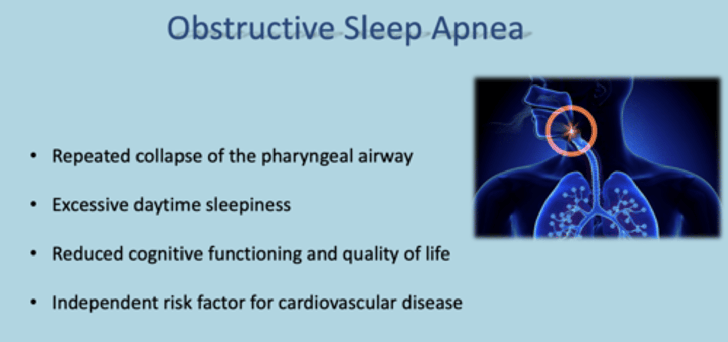 <p>Obstructive sleep apnea</p>