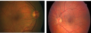 <p>Clinical scenario 5</p>