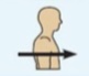 <p>Toward or at the front of the body.</p>