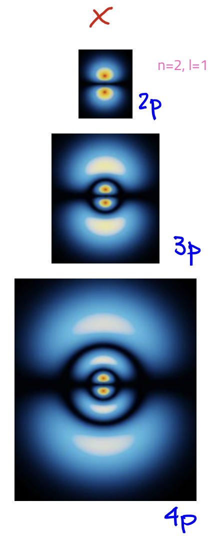 <p>L = 1</p><p>angular nodes: 1</p>