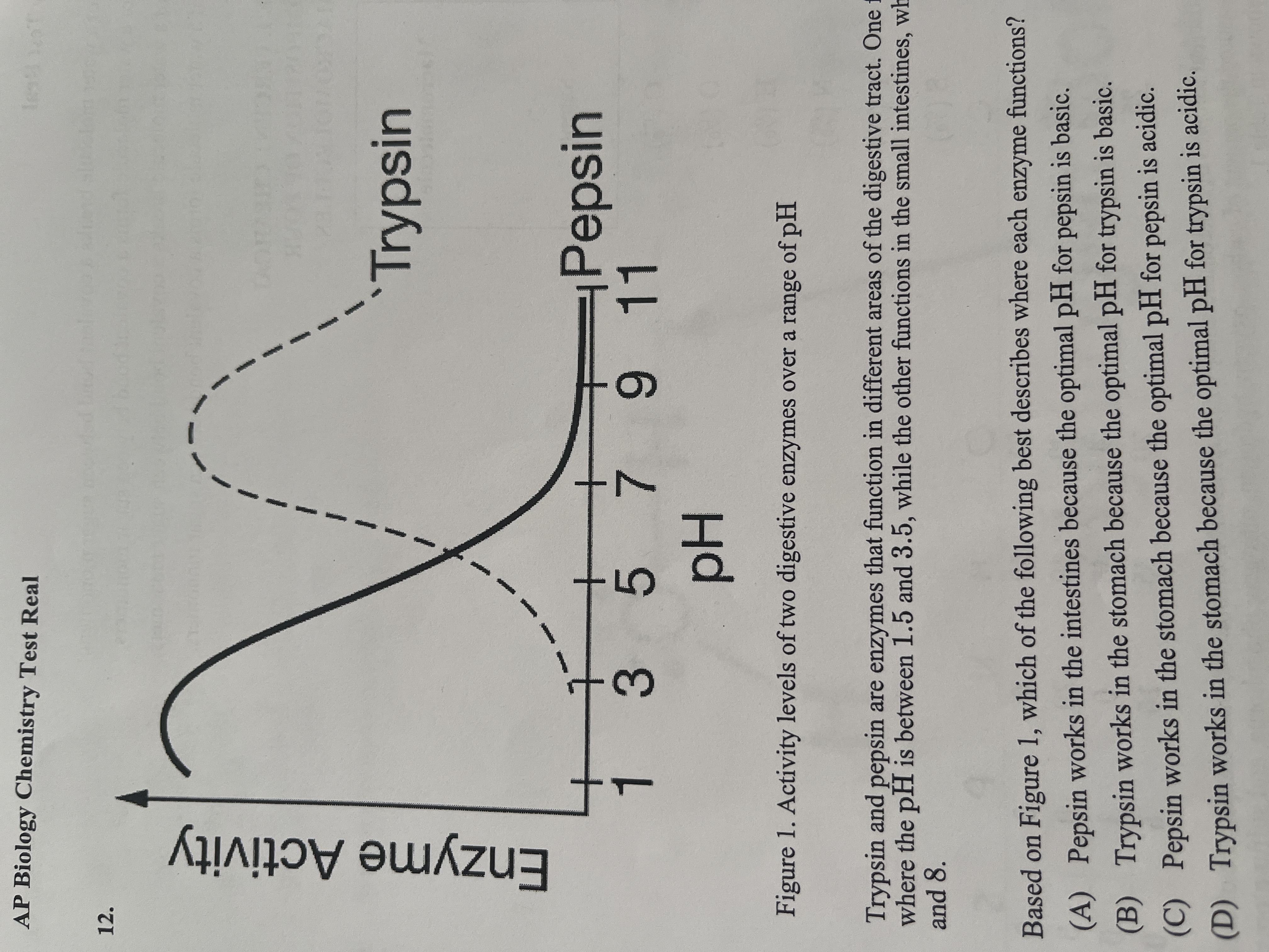 <p>Trypsin and pepsin are enzymes that function in different areas of the digestive tract. One functions in the stomach, where the pH is between 1.5 and 3.5, while the other function in the small intestines, where the pH is between 6 and 8.</p><p>Based on Figure 1, which of the following best describes where each enzyme functions?</p>