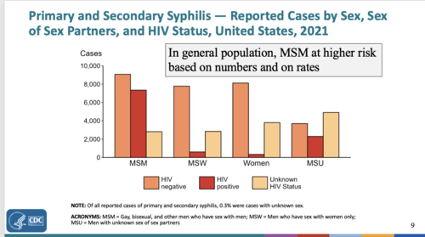 <p>men that have sex with men (MSM)</p>