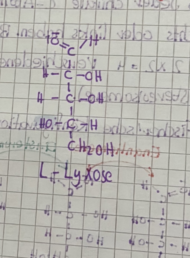 knowt flashcard image