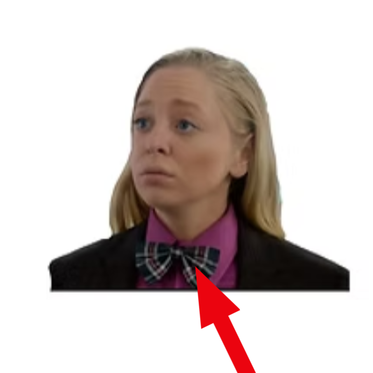 <p>a bow tie /boʊ taɪ/DEUTSCH: Fliege</p>