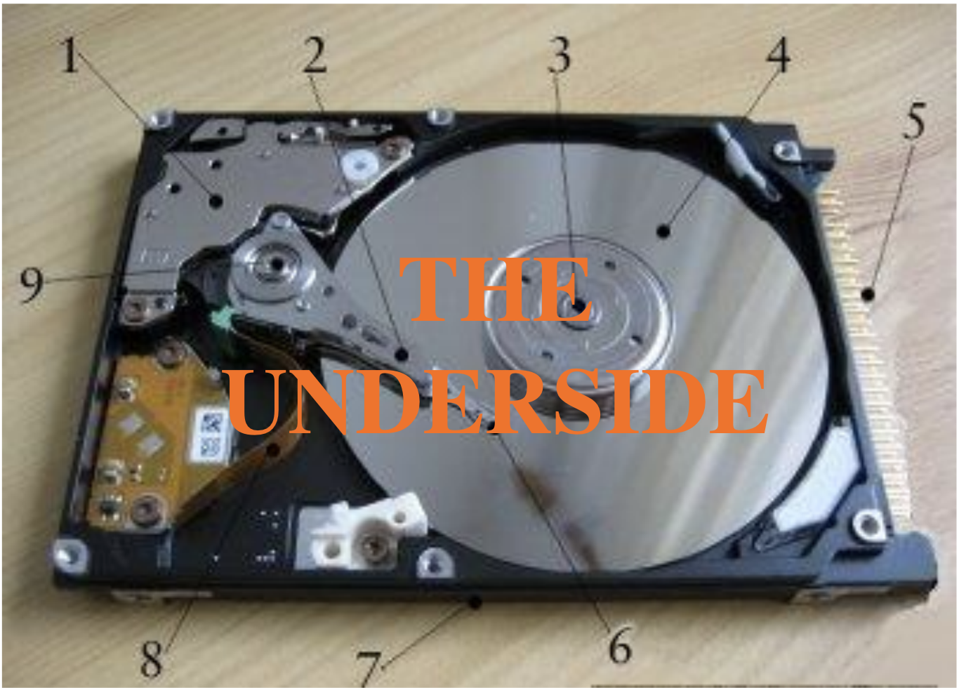 knowt flashcard image