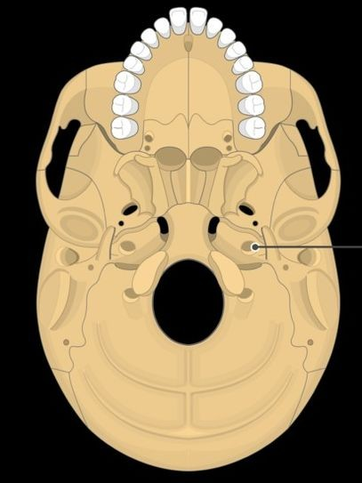 <p>What is this?</p>