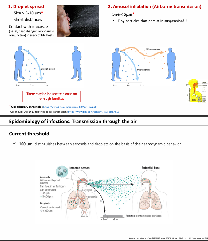 <p><strong>Aérea</strong></p><ul><li><p>Gotas y aerosoles (ej: mascarilla evita la transmisión por gotas y la ventilación evita la transmisión por aerosoles)</p></li></ul><p><strong>Fecal-oral</strong></p><ul><li><p>Alimentos, aguas, manos…</p></li></ul><p><strong>Contacto directo</strong></p><ul><li><p><strong>Cutánea</strong></p><ul><li><p><strong>Directamente → </strong>tocando</p></li><li><p><strong>Indirectamente → </strong>a través de fomites</p></li></ul></li><li><p><strong>Infecciones de transmisión sexual</strong></p></li><li><p><strong>Perinatales</strong></p><ul><li><p>En el momento del parto, es decir, contacto por las secreciones en el canal del parto</p></li></ul></li></ul><p><strong>Parenteral</strong></p><ul><li><p>A través de la <strong>sangre </strong>(inyecciones, transfusiones, pinchazos…)</p></li></ul><p><strong>Transplacentaria</strong></p><ul><li><p>Pasa de madre a hijo, pero o a través del parto sino de la placenta (infecciones congénitas)</p></li></ul><p><strong>Vectores (artrópodos)</strong></p><ul><li><p>Mosquitos (nos pican, se llevan nuestra sangre e infectan a otros o nos pueden infectar a nosotros)</p></li></ul><p></p>