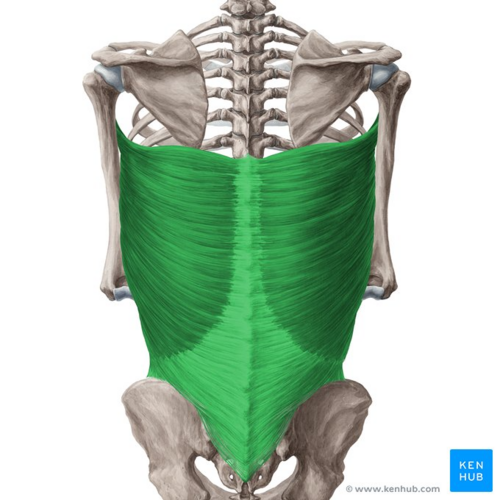 <p>What does this structure correspond with?</p>