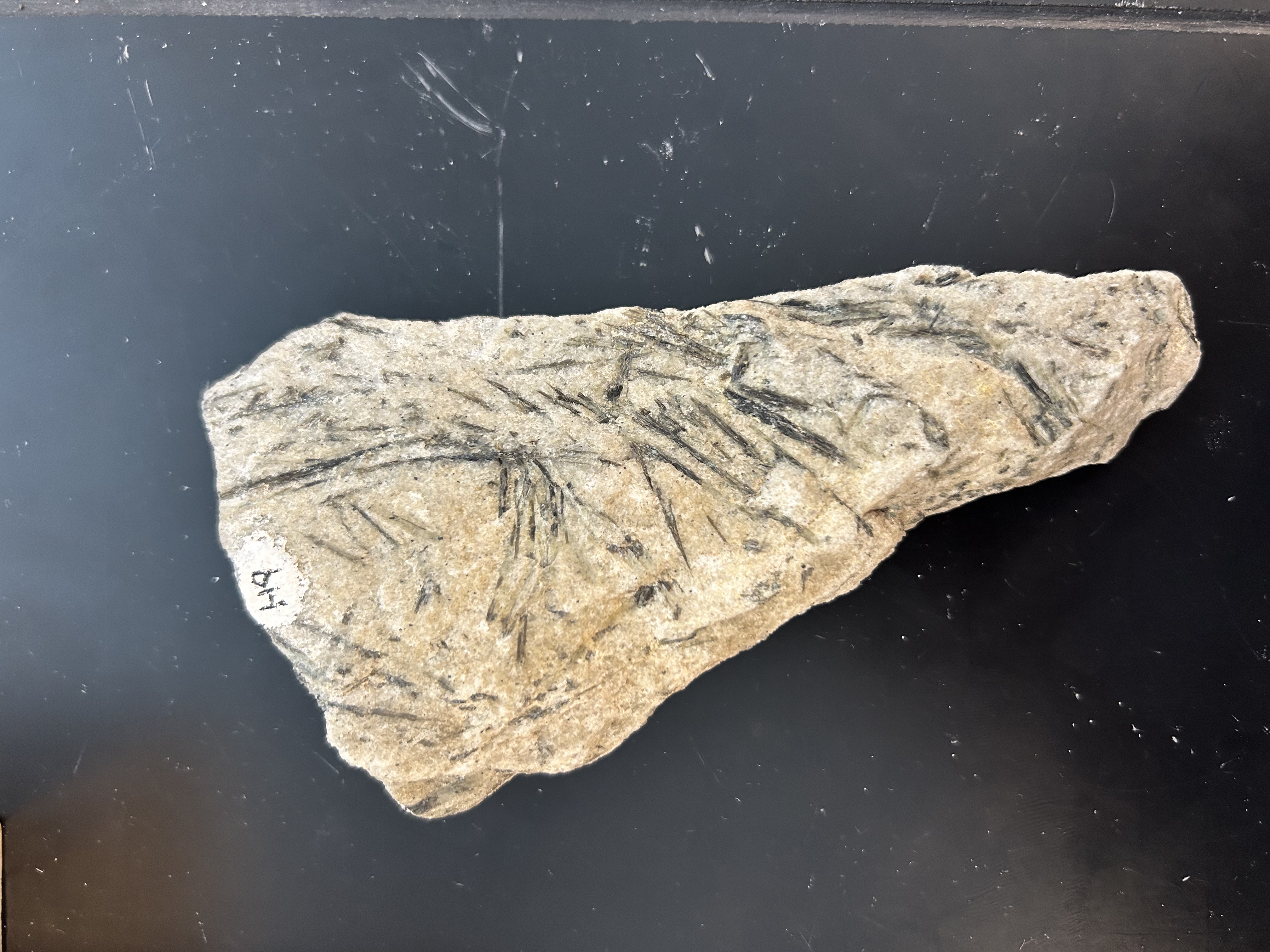 <p>white sugary matrix with black/green thin needle crystals</p>