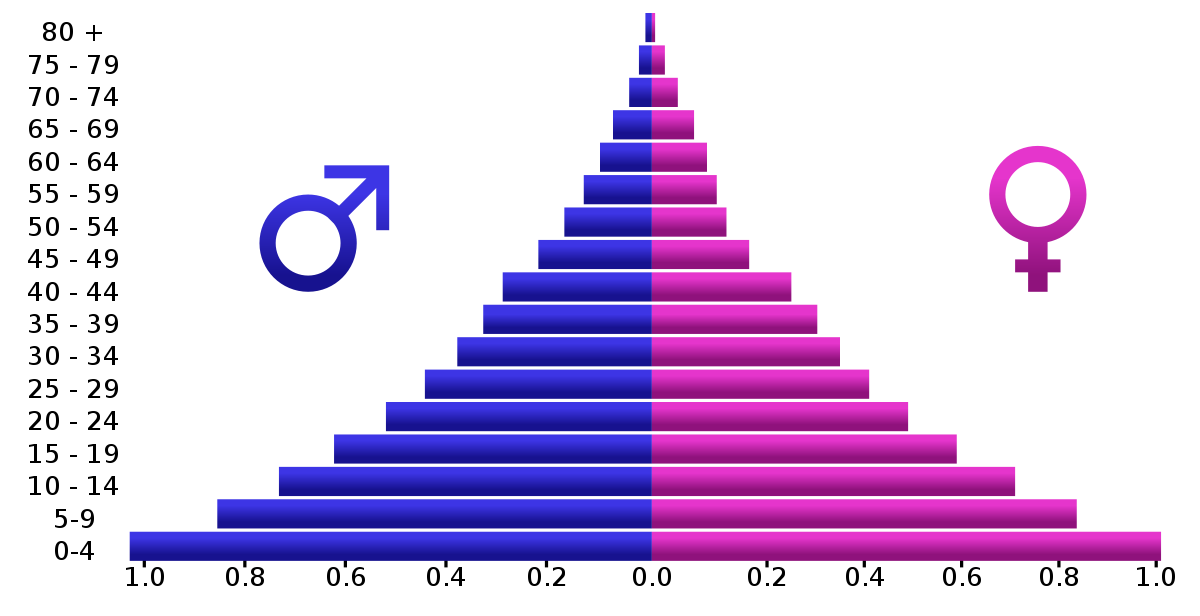 <p>Population Pyramids</p>