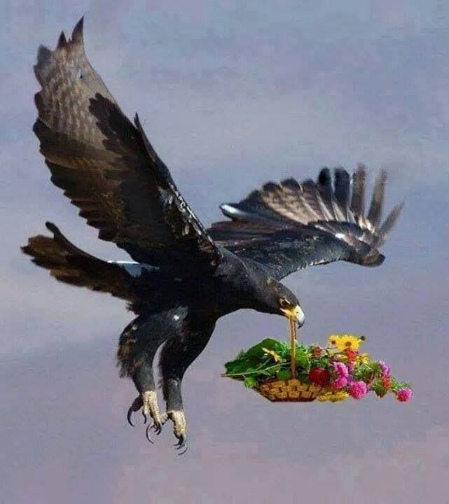 <p>flower and eagle moulds were found at Mycenae, suggesting these shapes were made. </p><p></p>