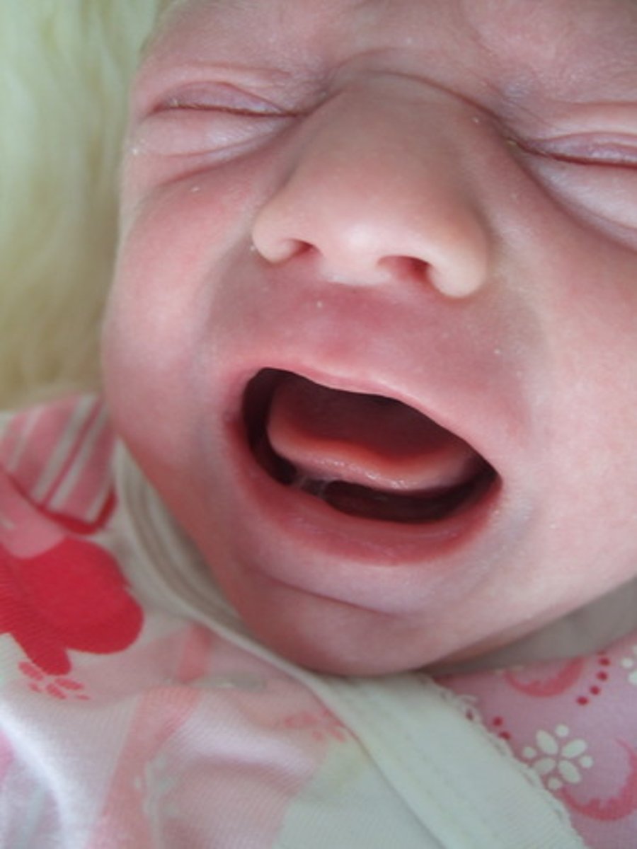 <p>inborn, fixed patterns of behavior in response to certain stimuli; don't require conscious thought</p>