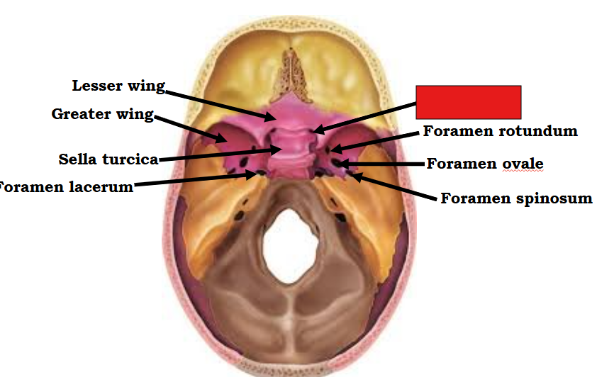 <p>fill in the red box:</p>