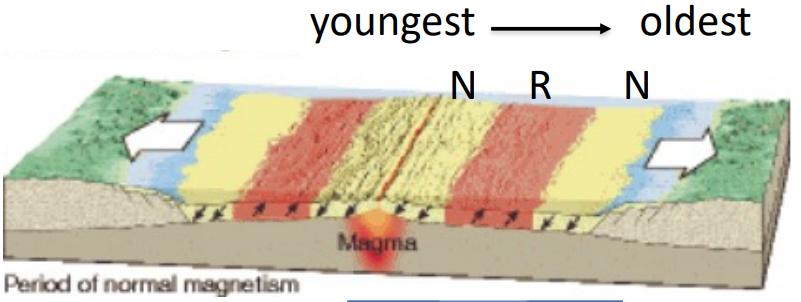 As new igneous rocks cool below their Curie Temp at these centers, they assume the prevailing magnetic inclination, magnetic direction, and polarity. Therefore, if we sample these rocks, geologists can find change in polarity from the younger rocks closer to the center to the older and farther rocks.