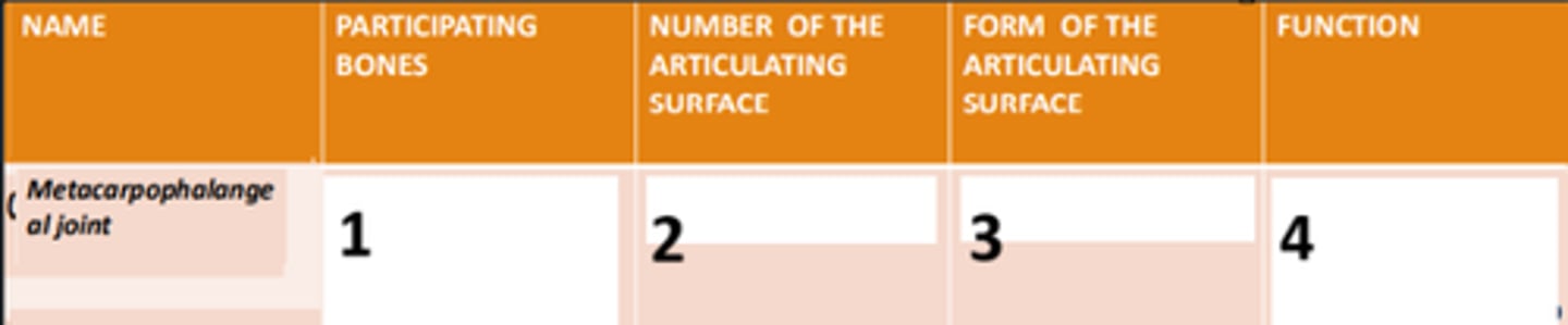 <p>1</p>