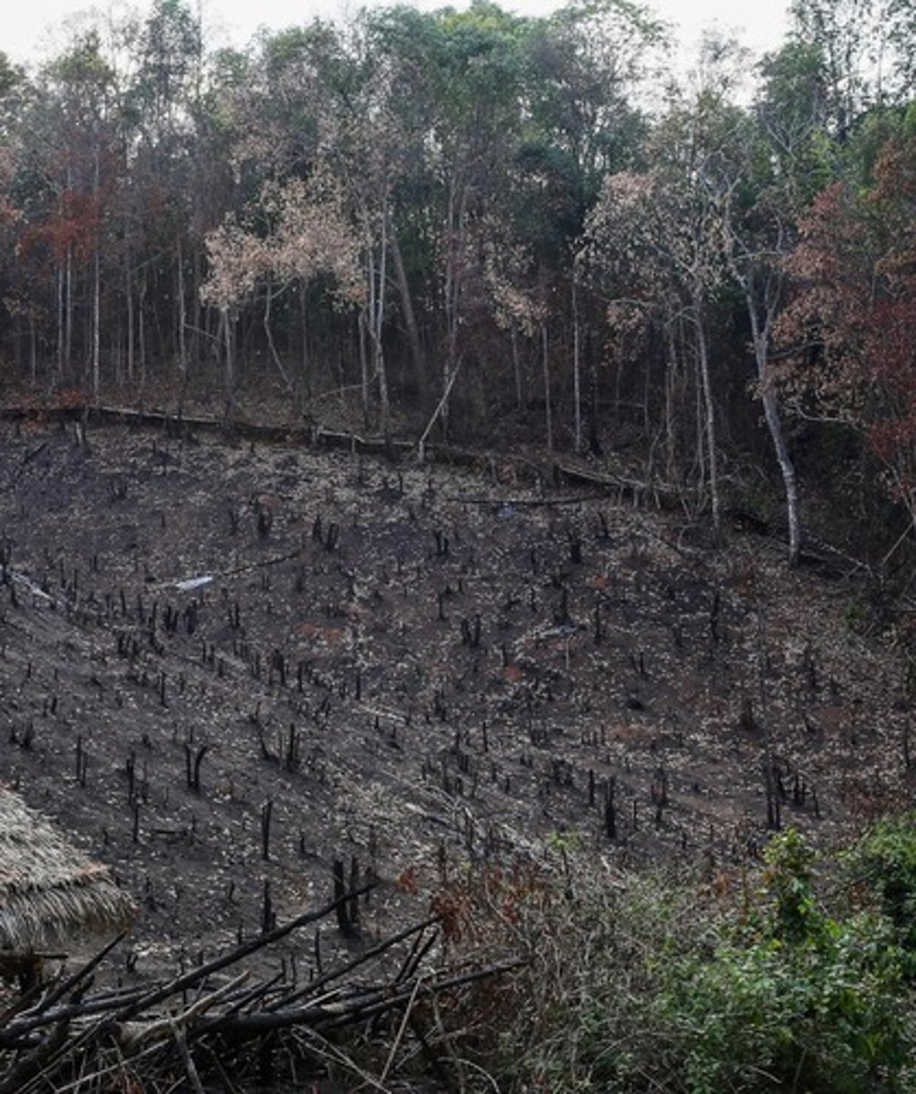 <p>A form of agriculture found in tropical forests that aims to preserve soil fertility by rotating fields.</p>