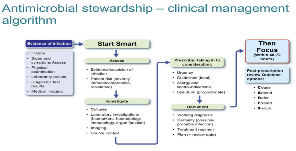 <ul><li><p> evidence-based guidance for secondary care clinicians and leaders (inpatient care settings) </p></li><li><p>designed to reduce the risk of antimicrobial resistance whilst safeguarding the quality of care for patients with infection&nbsp;</p></li></ul><p></p>