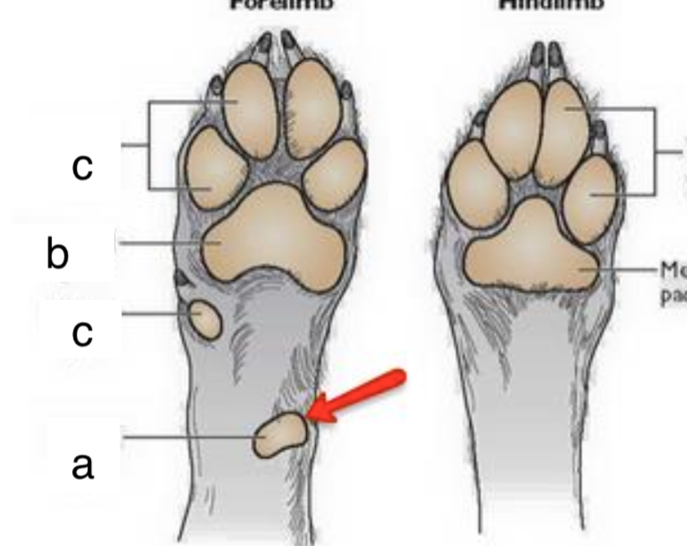 <p>a- </p><p>b- </p><p>c- </p>