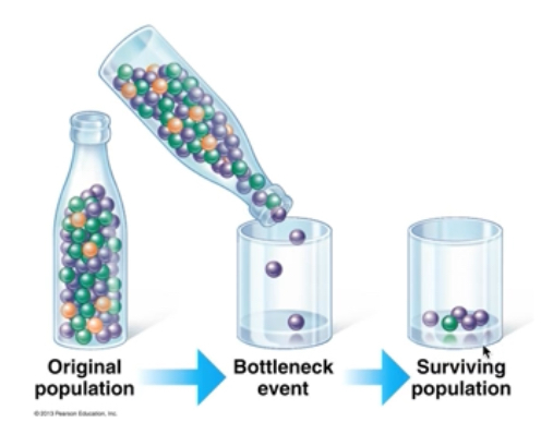 <p><span style="color: rgb(45, 59, 69)">What is a bottleneck?</span></p>