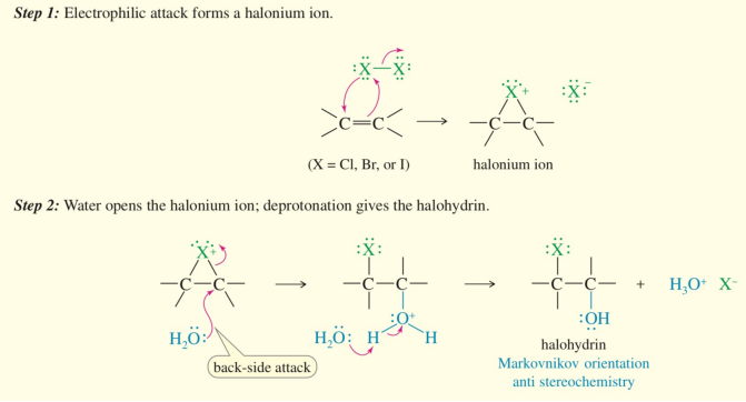 <ol><li><p>halonium</p></li><li><p>H2O backside attack </p></li></ol><p></p>