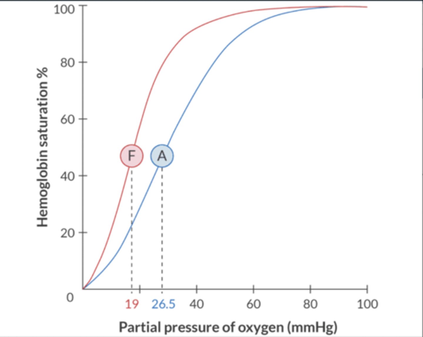 <p>19 mmHg</p><p>Oxyhgb curve shifts L (L = love)</p><p>benefits fetus by creating O2 partial P gradient across the uteroplacental membrane that facilitates passage of O2 from the mother to the fetus.</p>