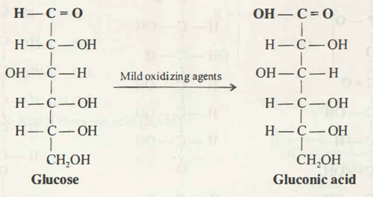 <p>Sugar acids</p>