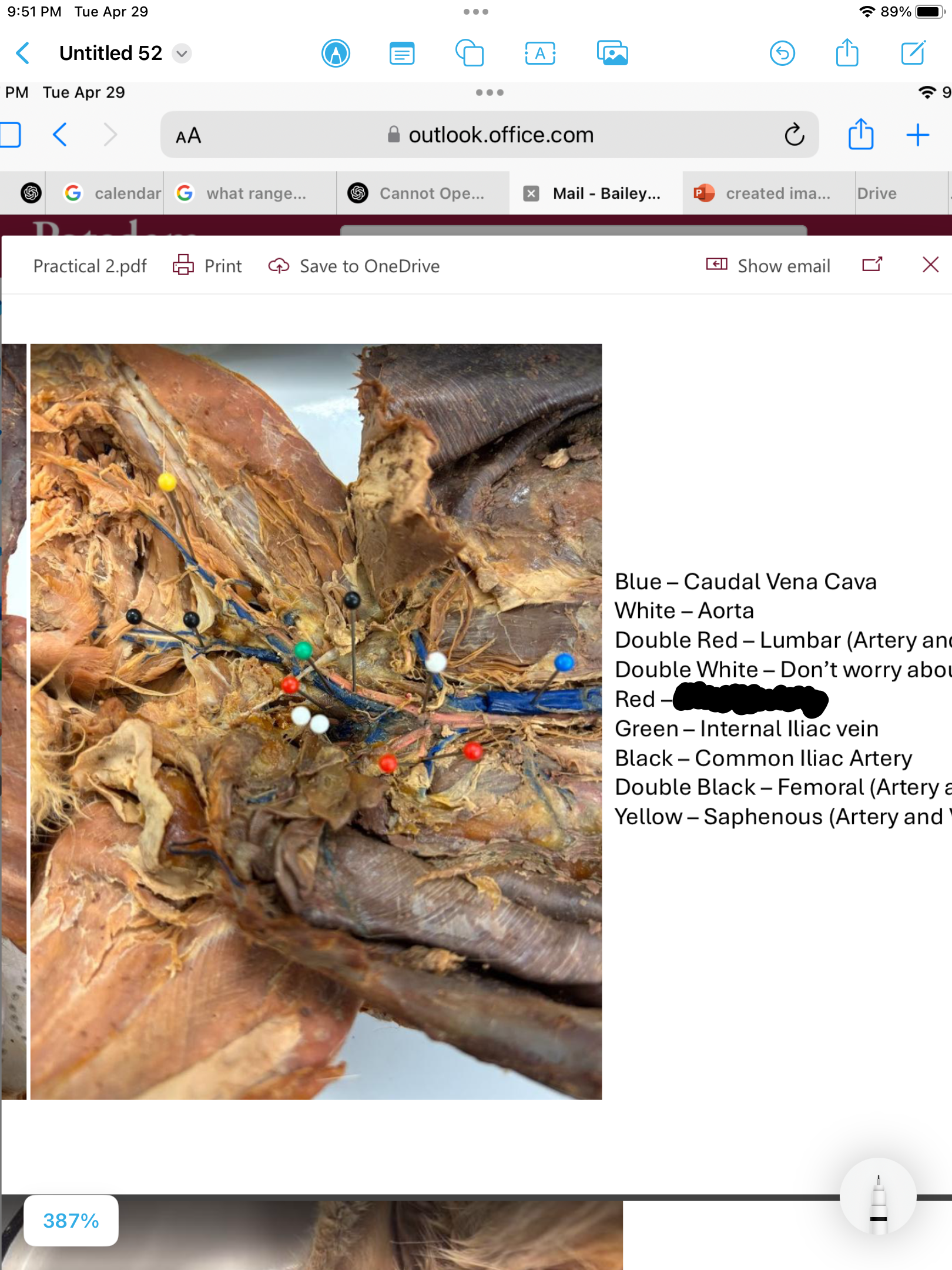 <p>label the area</p>