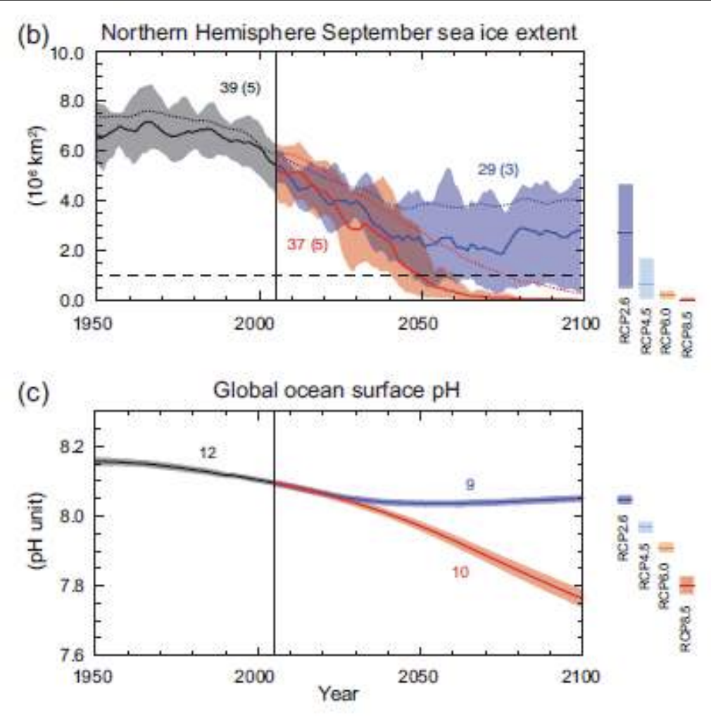 <p>Decreases are very likely in Arctic sea ice cover, Northern Hemisphere spring snow cover, and global glacier volume</p><p>Increase in CO2 in the atmosphere therefore ocean ph drops, increasing acidity of the ocean waters, impacting organisms such as corals that secrete calcium carbonate.</p>