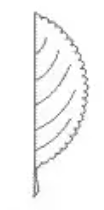 <p>margin</p>