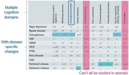 <ul><li><p>there are multiple tests for different things like pain, cognition etc</p></li><li><p>the cognitive domain and disease being tested changes the relevant testing technique&nbsp;</p></li><li><p>some domains cannot be tested in animals&nbsp;</p></li><li><p>different cognitive tests fit different diseases better</p></li></ul><p></p>