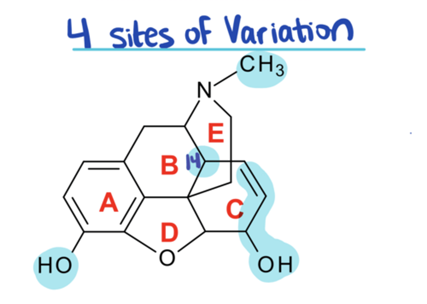 <p>There are ____ sites of variation on morphine that are modified to create other opioid drugs</p>