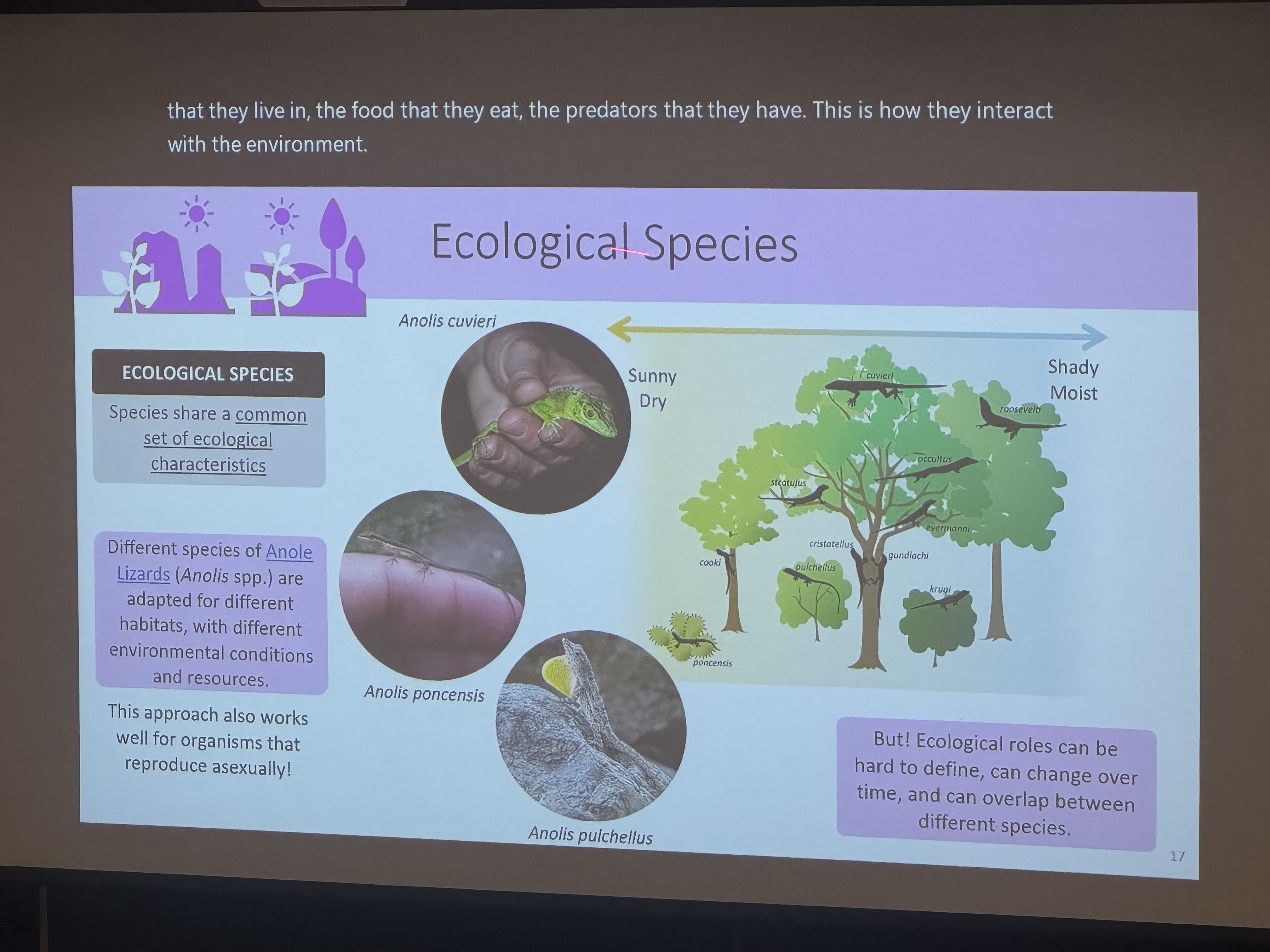 <p>species share a common set of ecological characteristics</p>