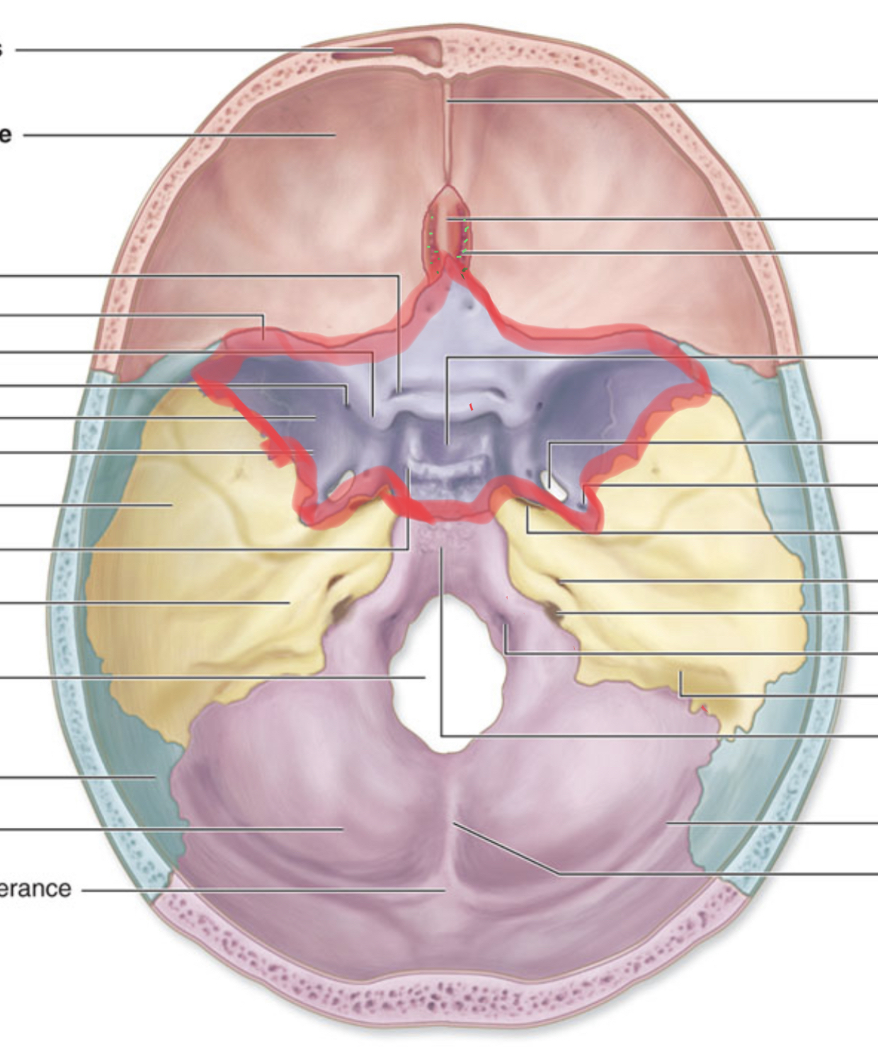 knowt flashcard image