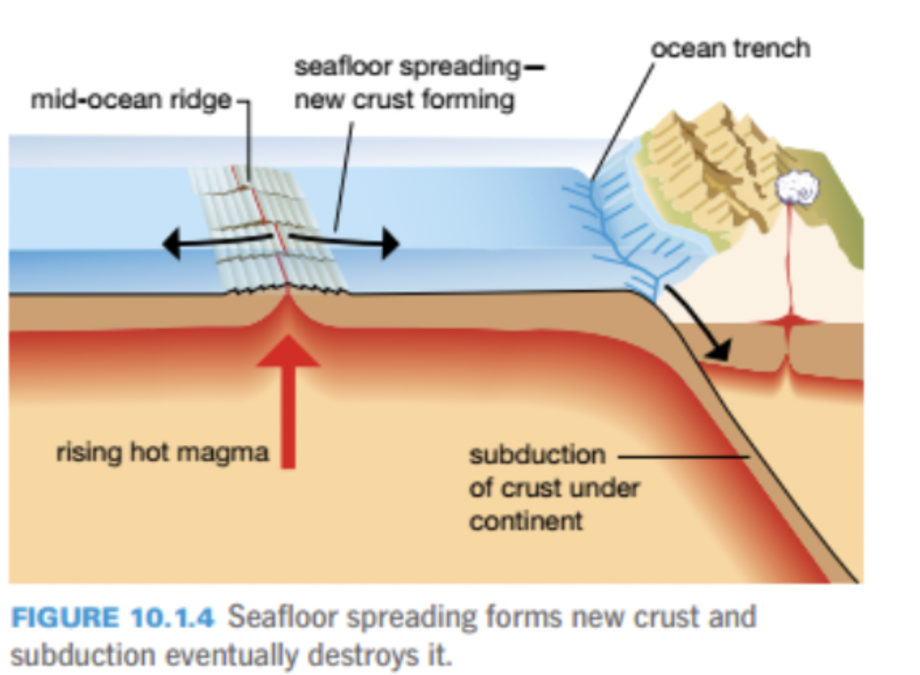 <p>explain this image</p>