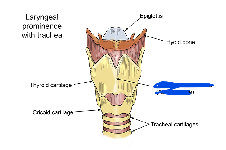 <p>Name the structure</p>