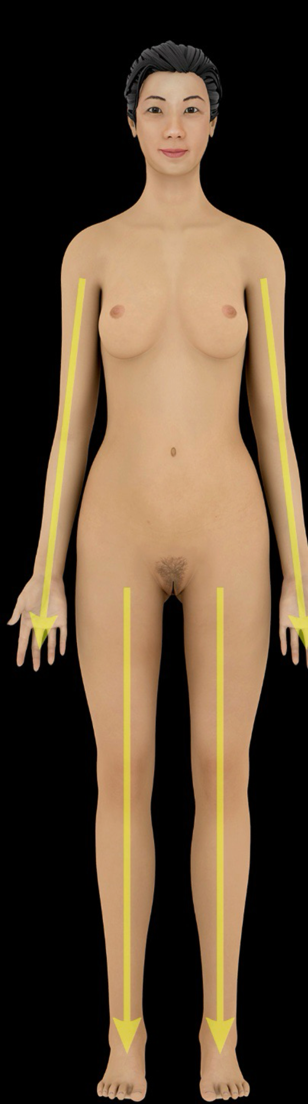 <p>father from the trunk or origin of a structure</p><p>-ex: the wrist is <strong>distal</strong> to the elbow</p><p>-opposite of proximal</p>