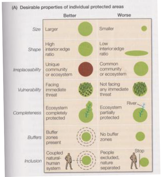 * larger
* high interior:edge ratio
* unique community or ecosystem
* facing immediate threat
* ecosystem completely protected
* buffer zones present
* coupled natural-human system