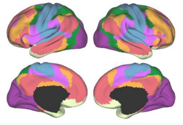 <p>Define functional networks.</p>