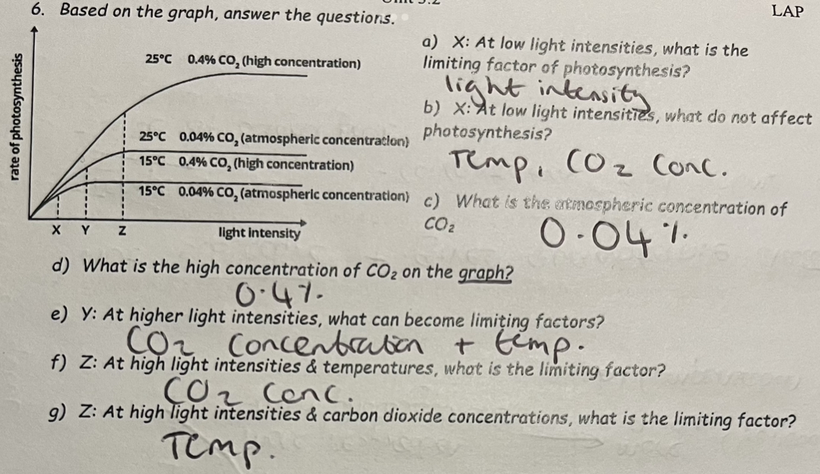 <p><span>Increasing temperature increases the kinetic energy of reactants &amp; enzymes in photosynthesis, increasing the rate of photosynthesis. </span></p><p><span>Above the optimum temperature enzymes begin to denature, so the rate of photosynthesis reduces &amp; it does not plateau. </span></p><p><span>The optimum temperature is higher in species adapted to hot environments.</span></p>