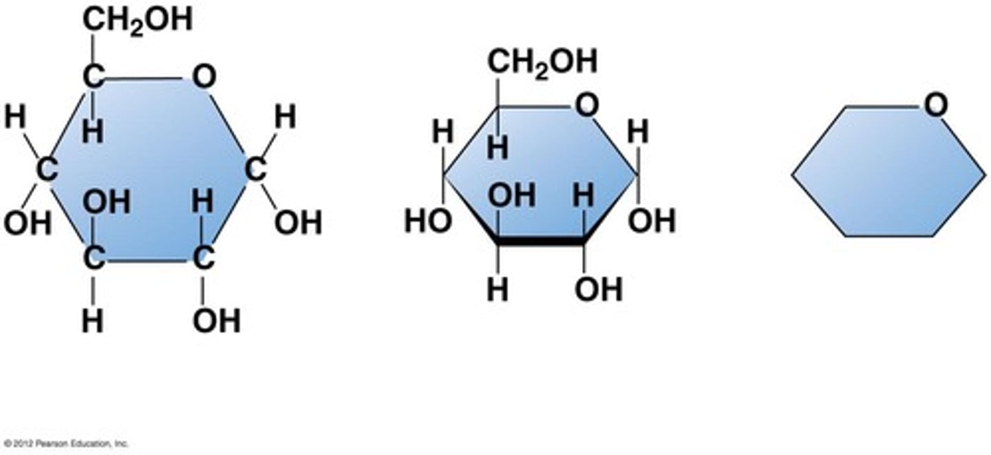 <p>monosaccharide</p>