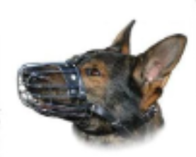 <p>dog restraint #3</p>