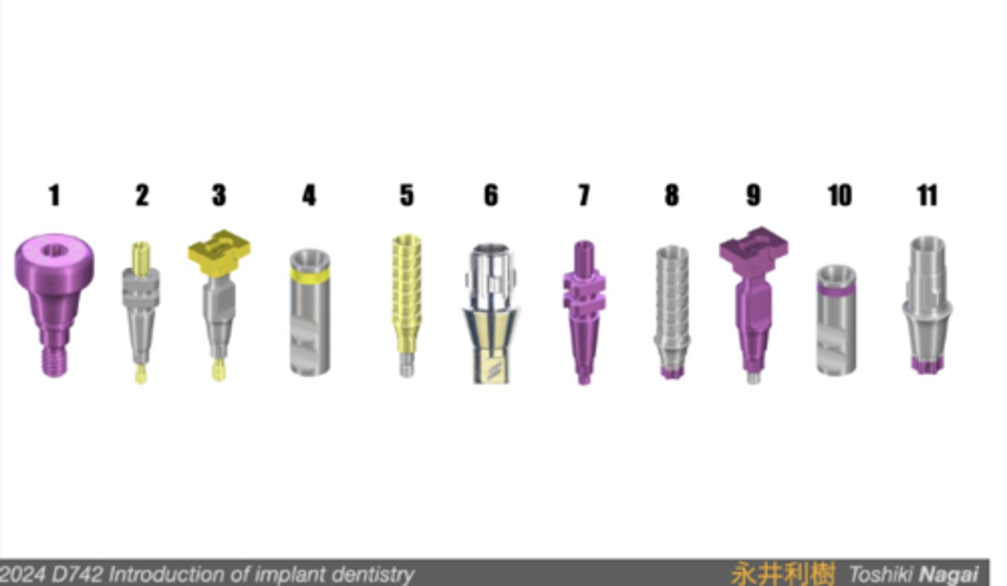 <p>Please identify each as one of the following:</p><p>Healing abutment</p><p>Open tray impression coping Close tray impression coping</p><p>Analog</p><p>Temporary abutment</p><p>Ti-base</p><p>Custom abutment</p><p>UCLA abutment</p><p>Cover screw</p><p>Zirconia abutment</p><p>Hybrid abutment</p>
