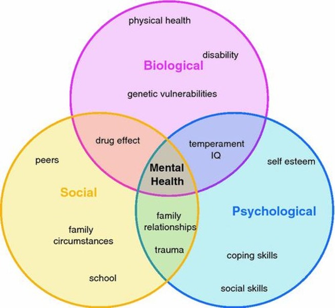 <p>Combines biological, psychological, and social factors.</p>