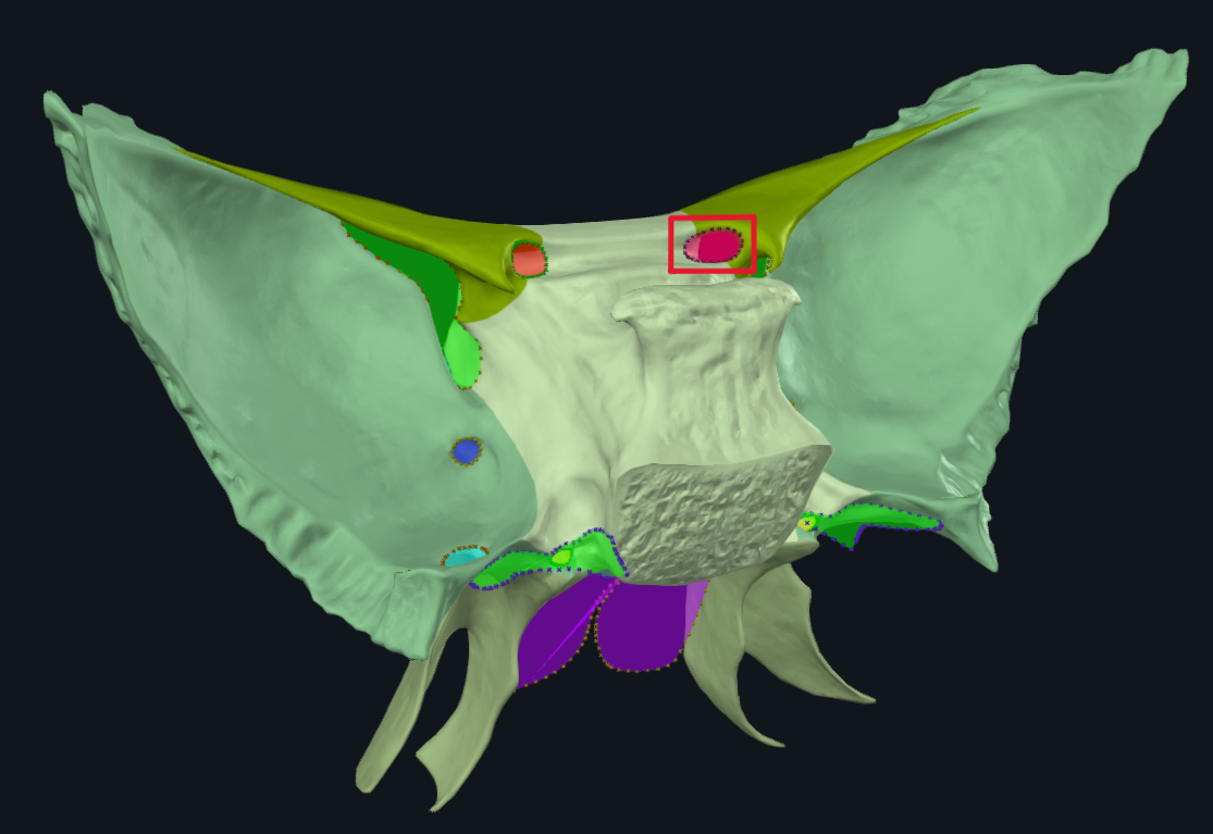 term image