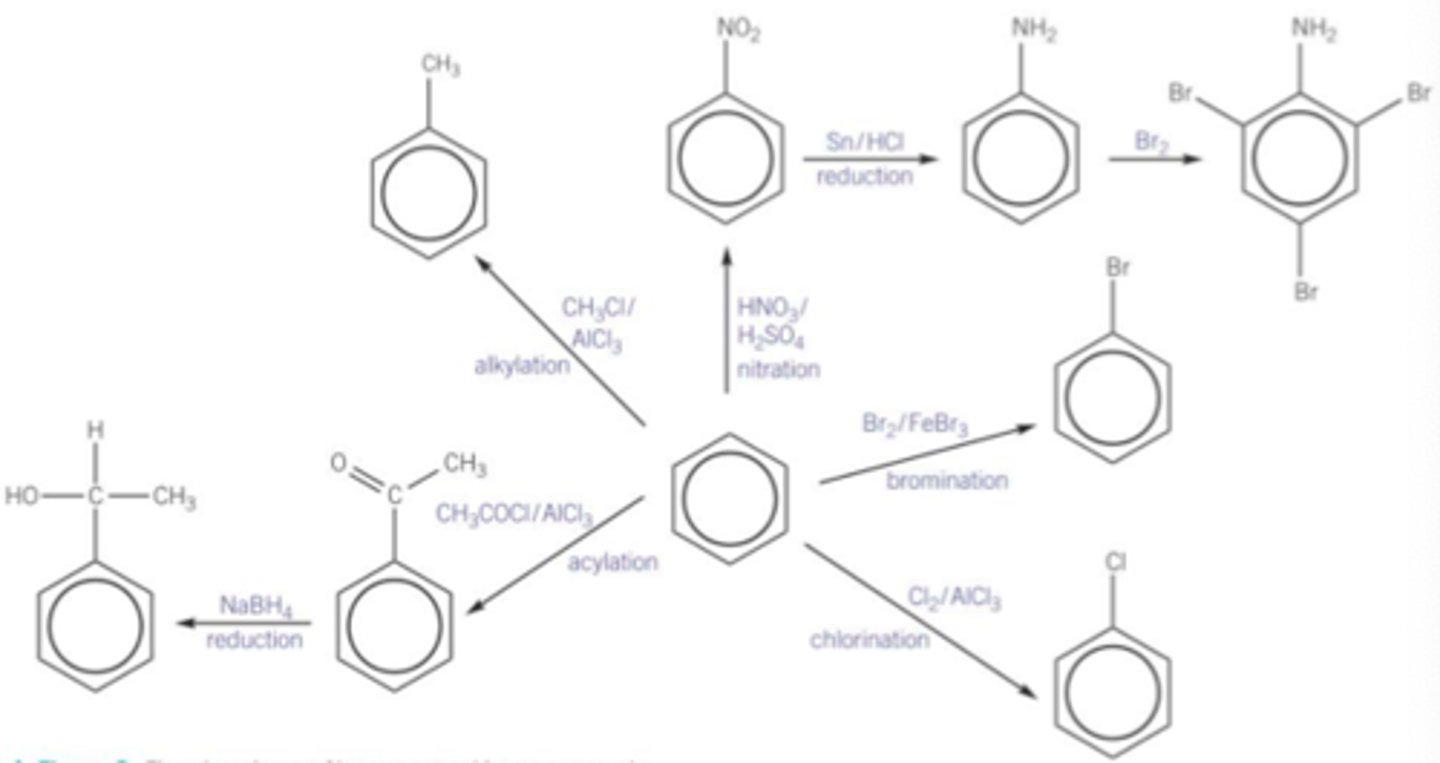 <p>Compounds derived from benzene structure</p><p>toluene, ethylbenzene, xylenes, phenol, aniline, nitrobenzene, benzoic acid</p>