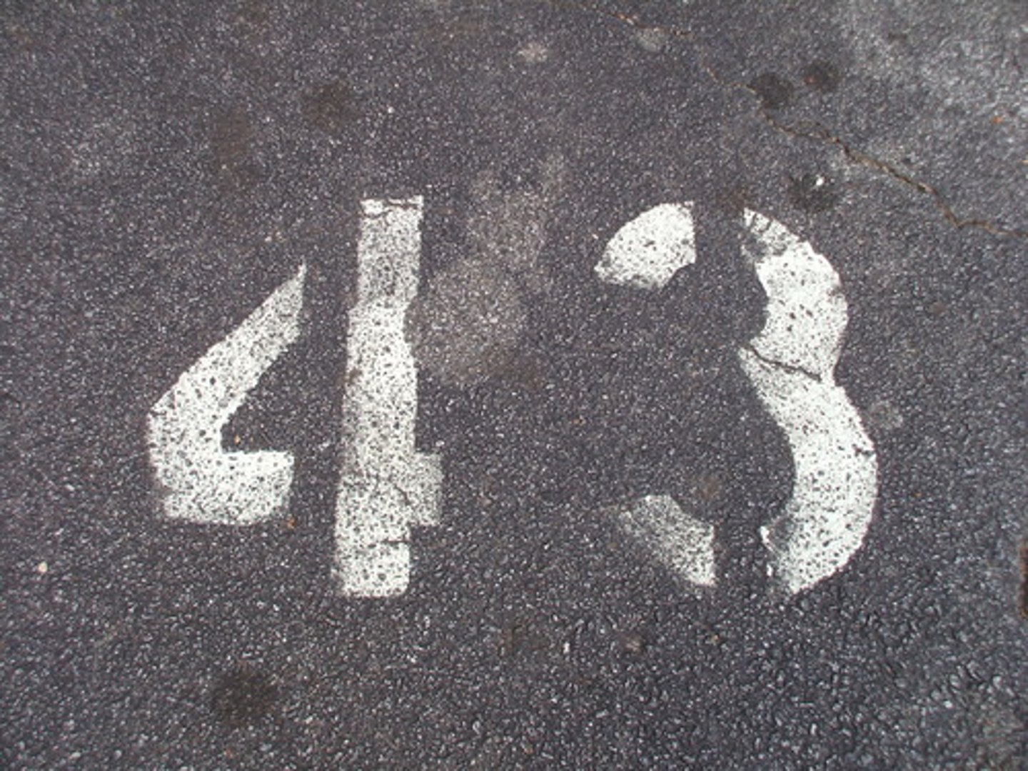<p>43</p>