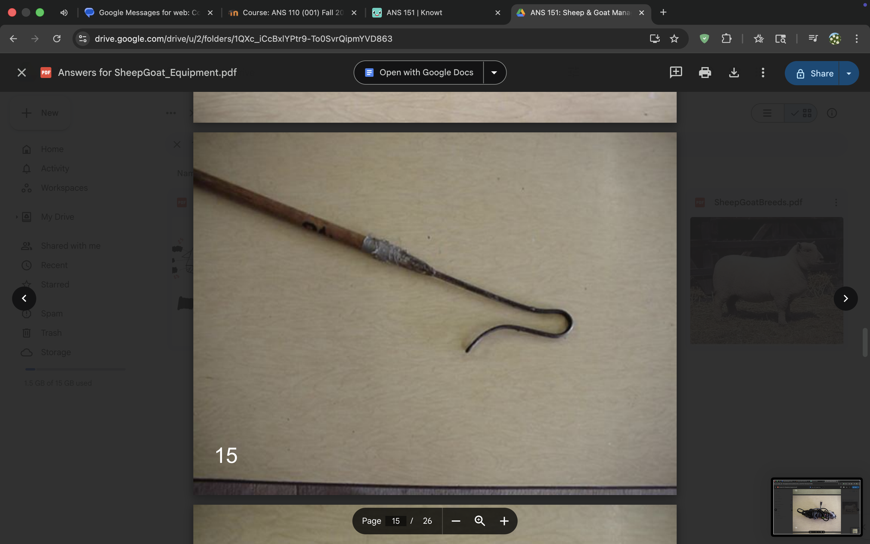 <p>Shepherd’s crook</p>