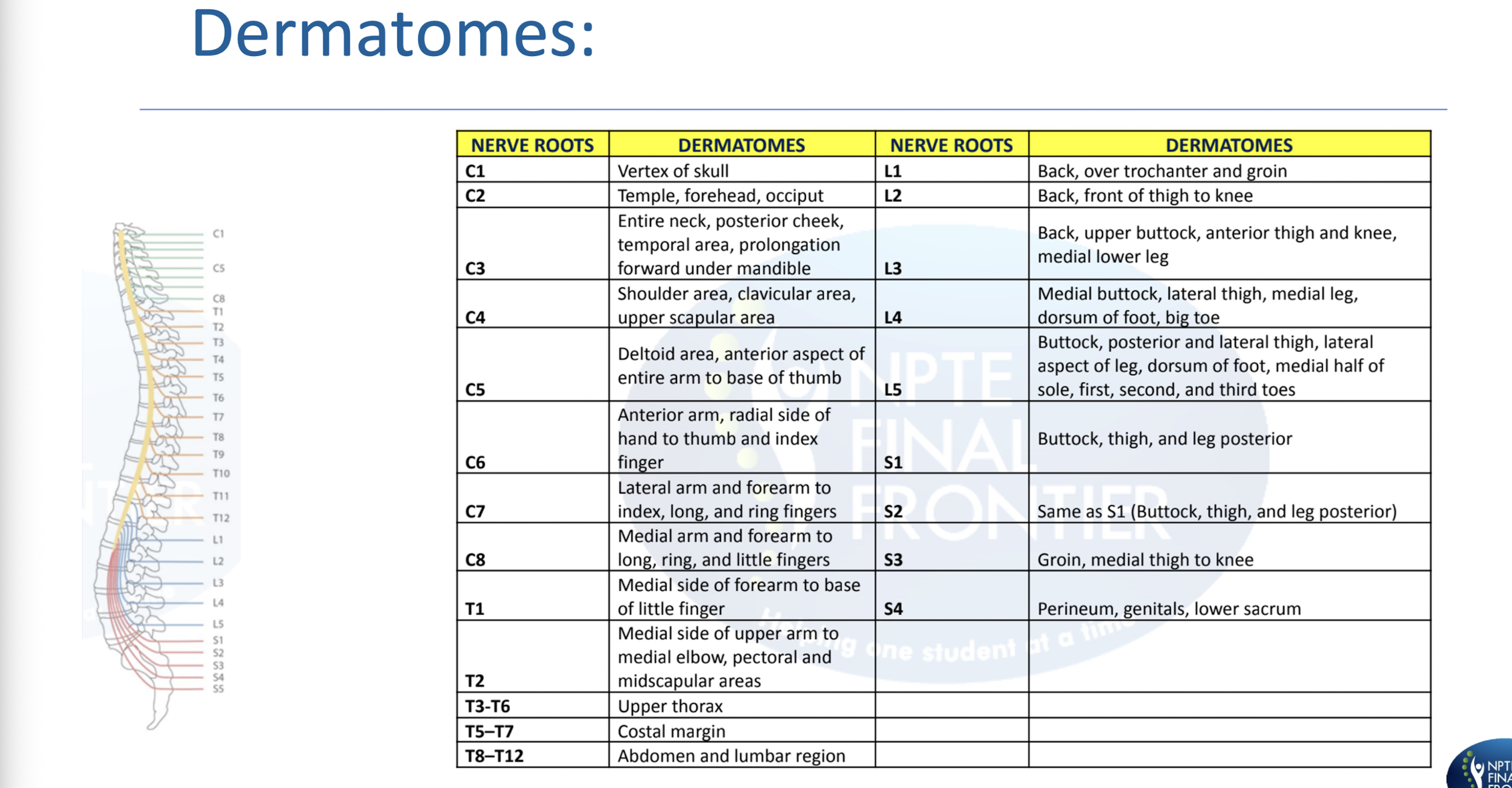 <p>UE and LE Dermatomes: </p>